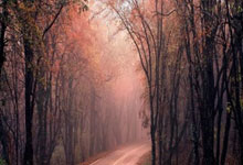 西班牙迎战英格兰，力争晋级