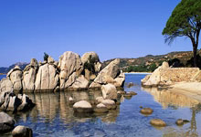 意大利队在欧洲比赛中发挥出色：荣耀、技战术与激情的融合