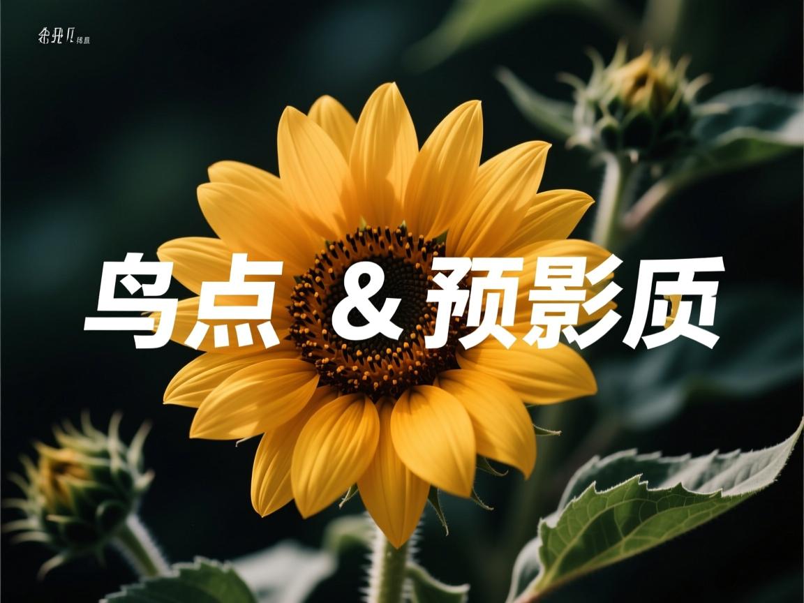 开云体育在线下载-威尔士队破釜沉舟,欧洲锦标赛决胜一搏 第3张